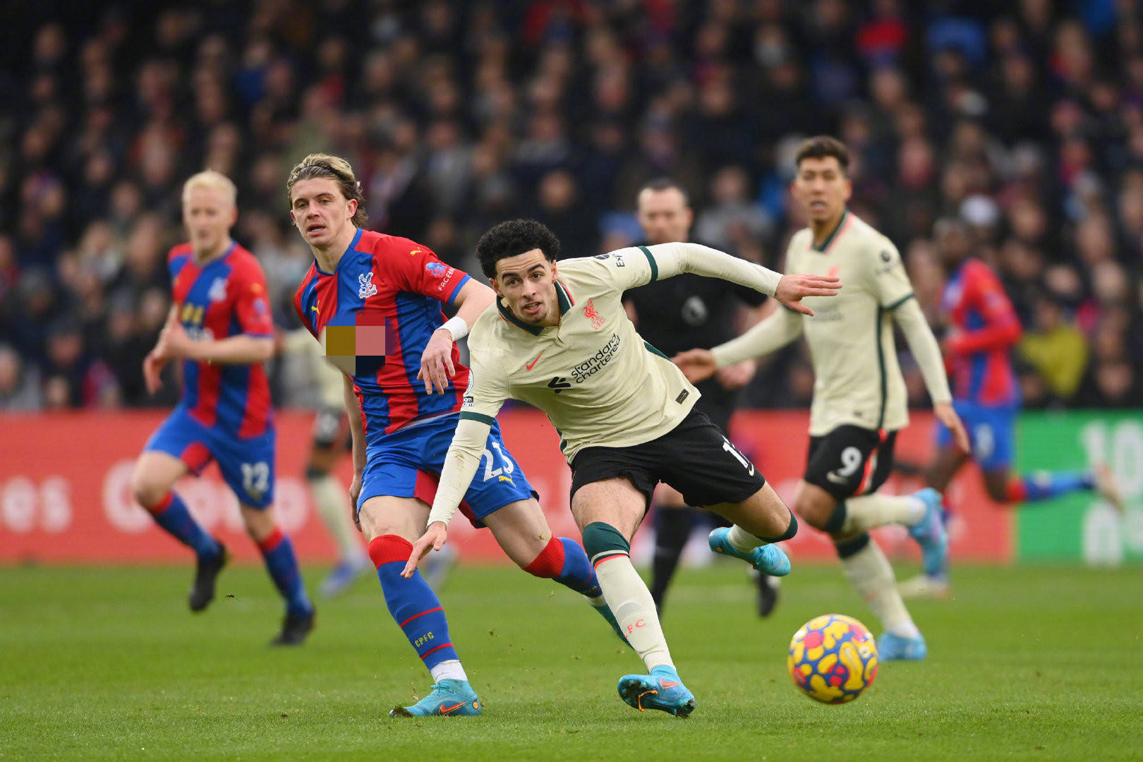 是特定文档 是特定文档